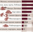 картинка1.jpg - Вурнарская ЦРБ