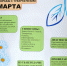 images55.jpg - Вурнарская ЦРБ