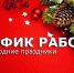 График работы Вурнарской центральной районной больницы с 28 декабря 2024 по 08 января 2025 - Вурнарский район