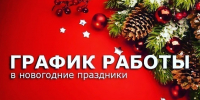 График работы Вурнарской центральной районной больницы с 28 декабря 2024 по 08 января 2025 - Вурнарский район